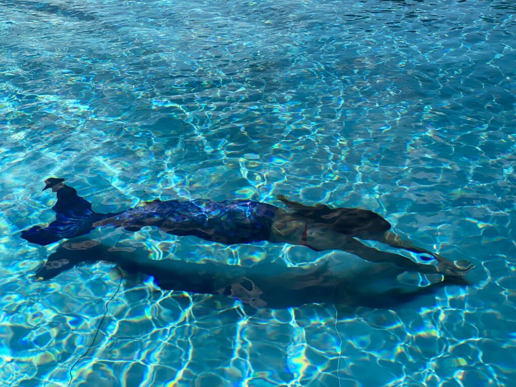 Mermaid Training Salzburg